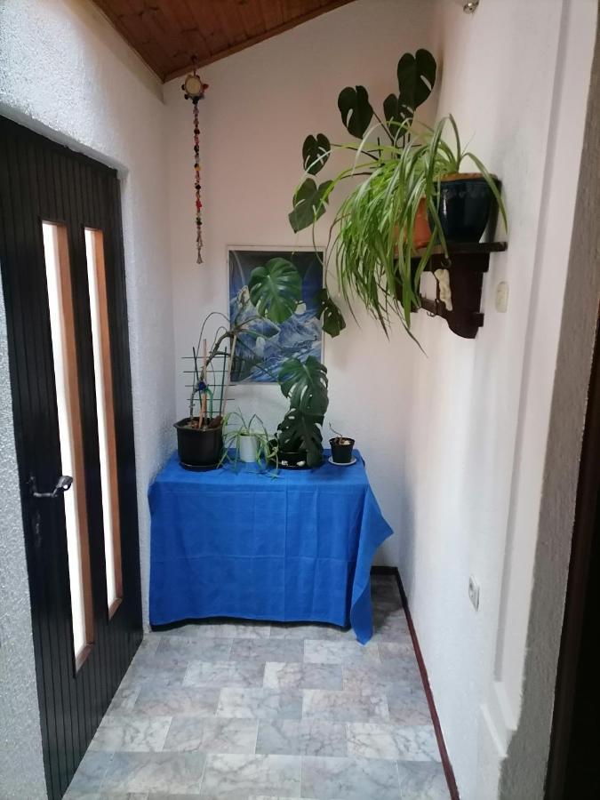 Apartman Zepina พูลา ภายนอก รูปภาพ