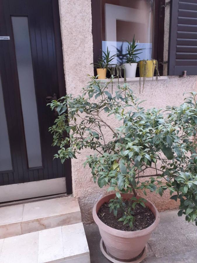 Apartman Zepina พูลา ภายนอก รูปภาพ